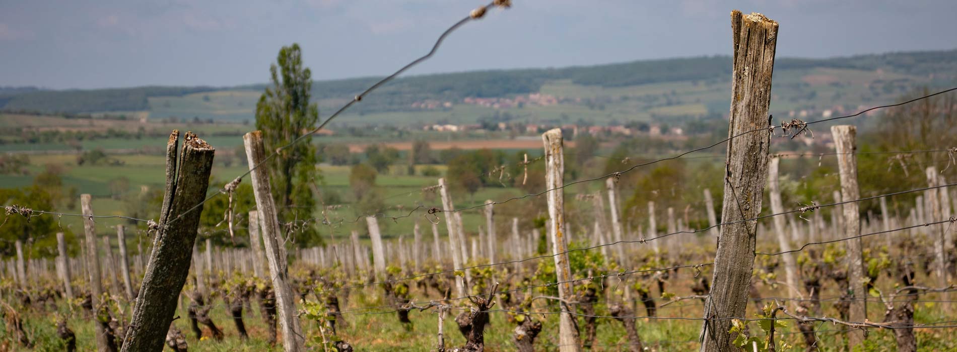 Gîtes en Bourgogne-Franche-Comté